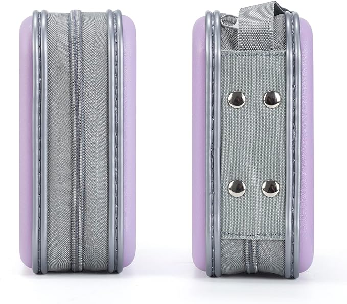 alavisxf xx 48 Capacity Hard Plastic DVD Case Portable Zipper CD Case Holder Large Storage Disc Wallet Bag for Car Home Travel (Lavender)