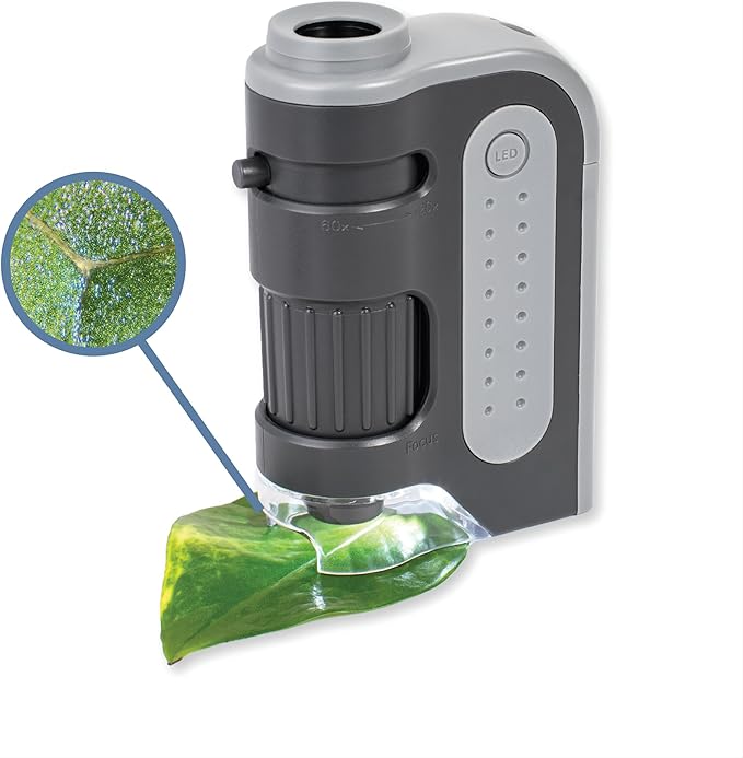 Carson MicroBrite Plus 60x-120x Power LED Lighted Pocket Microscope - Set of 4 (MM-300MU),Black/Grey