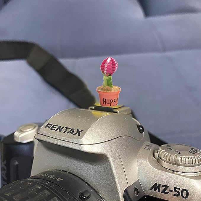 Camera Hot Shoe Cover, Cartoon Plants Cactus Hot Shoe Cap, Hot Shoe Protector Compatible with Sony Fujifilm Fuji Canon Nikon Pentax Leical Panasonic (2pcs Happy Baby)