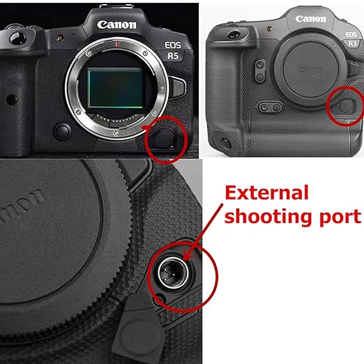 DYTDIEYINGTU R5 R5C R5II Video Cable is Suitable for Canon Camera Shutter Cable Connected to DJI Ronin stabilizer Photo and Video Shutter Release Control Connected to sc rs2 rs3 rs4/ Focus pro