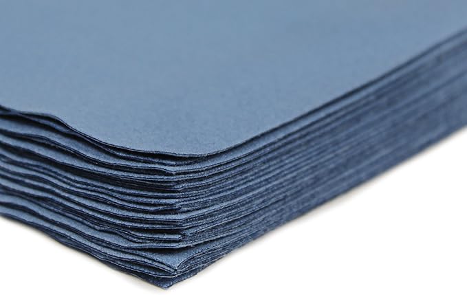 CleanAide Lint-Free & Scratch-Free Reusable Suede Microfiber Cloths, for Cleaning & Polishing Glasses, Screens, Electronics, Mirrors, & Windows, Home & Professional Use, 16 x 16 Inches, 12-Pack, Blue