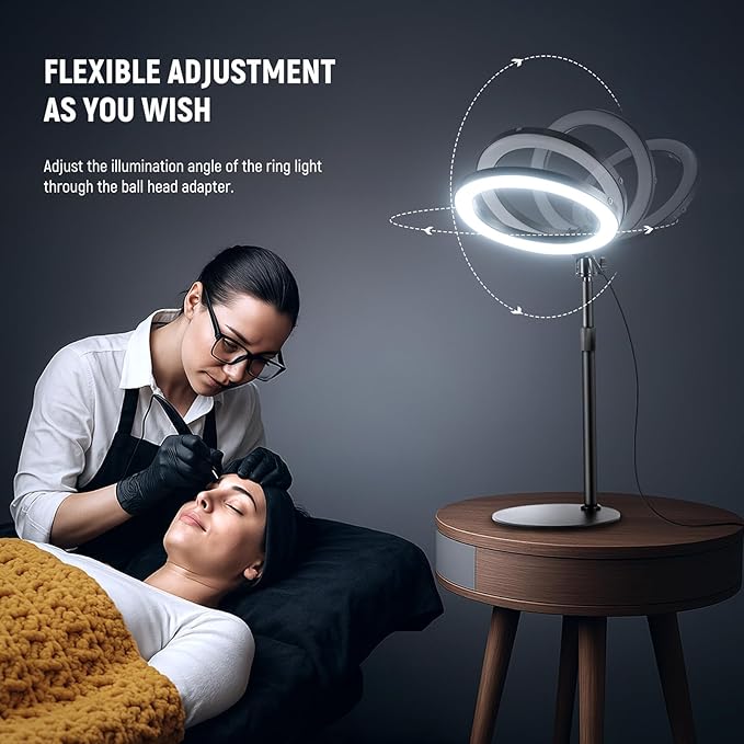 NEEWER 10" 20W LED Ring Light with Desk Stand Phone Holder for iPhone Laptop, Bi Color 2900K-7000K, USB C PD Input, CRI97+ 1660LX/0.5m, Selfie Makeup TikTok Recording Video Conference Lighting, RH10B