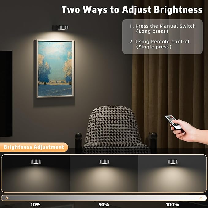 6PCS Picture Lights,3 Colors Paintings Light Rechargeable Battery Wall Light Dimmable and Timer Metal Art Light for Paintings,Display, Wall, Artwork, Gallery(Black)