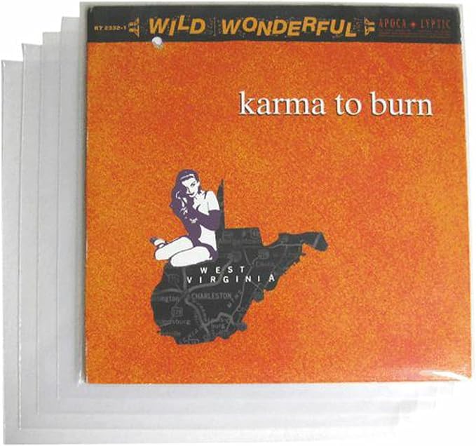 (100-Pack) 10 Inch 78rpm Clear Vinyl Record Outer Sleeves – Heavy-Duty 3 Mil High-Clarity Polyethylene – Flush Cut, Archival-Quality Protection for Album Covers – Shields from Dust, Scratches & Wear