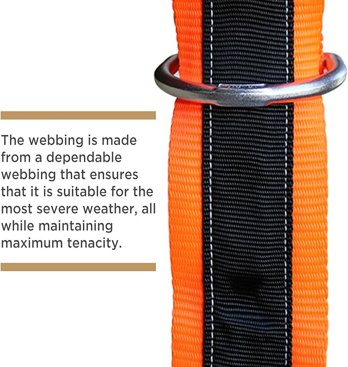 AFP 3’ Cross Arm Strap Premium Heavy-Duty Pass-Through Double Steel Ring, Safety Fall Protection Anchorage Connector (OSHA/ANSI) PPE 2 Pack
