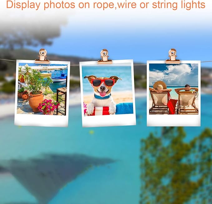 Small Bulldog Clips Rose Gold - Coideal 30 Pcs Mini Metal Binder Bull Clips Hinge Paper Clip Office Clamps for Picture Photos (22mm)