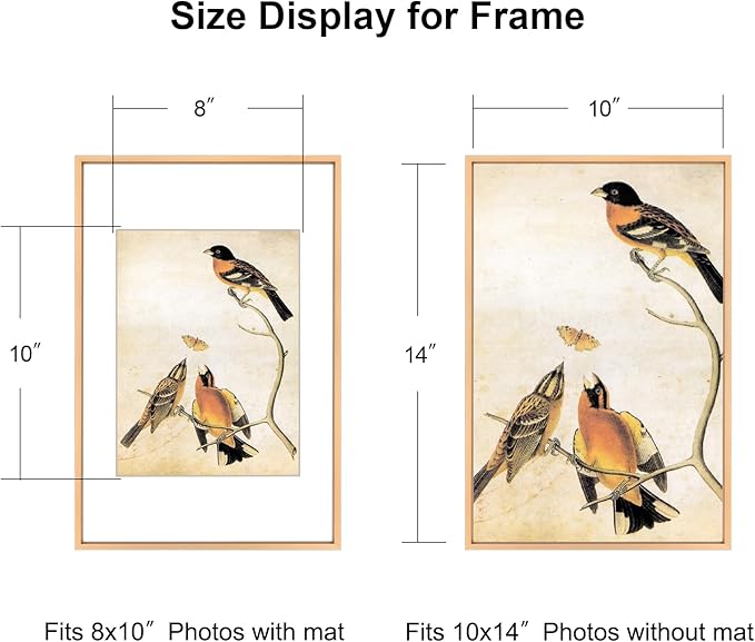 BKABOT 10x14 Picture Frame, Gold Aluminum Metal Photo Frames with HD Glass, Fits 8x10 with Mat or 10 x 14 without Mat, Display for Wall