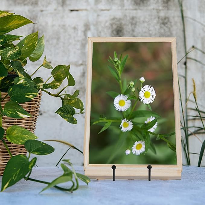 Ouskr 4 Pcs 4-1/4 Inch Plate Stands for Display, Metal Iron Picture Frame Holders Stand for Book Photo Small Easels Plaque Dish Art Tabletop Decorative Black