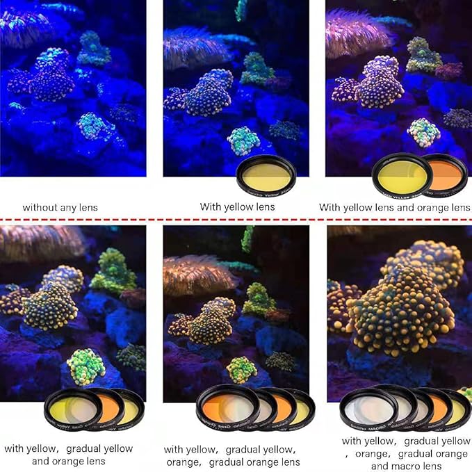 Coral Lens Set, Smartphone Reef Lens Kits, 1 Dust Case, 2 Clips, 8 Lenses: Yellow, Orange, Gradual Yellow Orange Pink, Star6, CPL, Macro