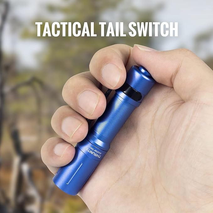 ThruNite EDC Flashlight Archer Mini, 405 Lumens Tail Switch LED Flashlight, USB C Rechargeable Little Pocket Penlight for Camping, Outdoor, and Emergency - Blue Cool White