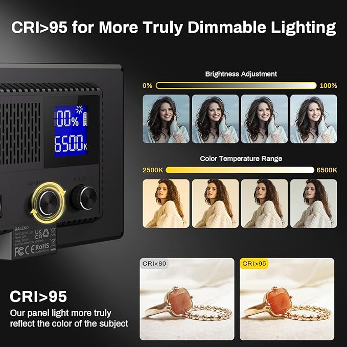 RALENO LED Video Light Panel, Camera Light for Video Conference Recording with 4000mAh Battery Type-C USB Ports, CRI>95 2500K-6500K Photo Lights for Outdoor Photography Live Streaming Zoom Call