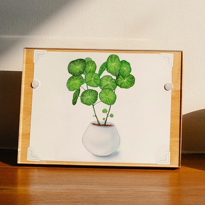 Lineco Ivory Acid-Free 0.5" Archival Photo Corners, Self Adhesive, Pressure Sensitive, Non-Yellowing, Mount Pictures Without it Touching Tape, Scrapbooking, DIY, Displaying Pictures. (Pack of 252)