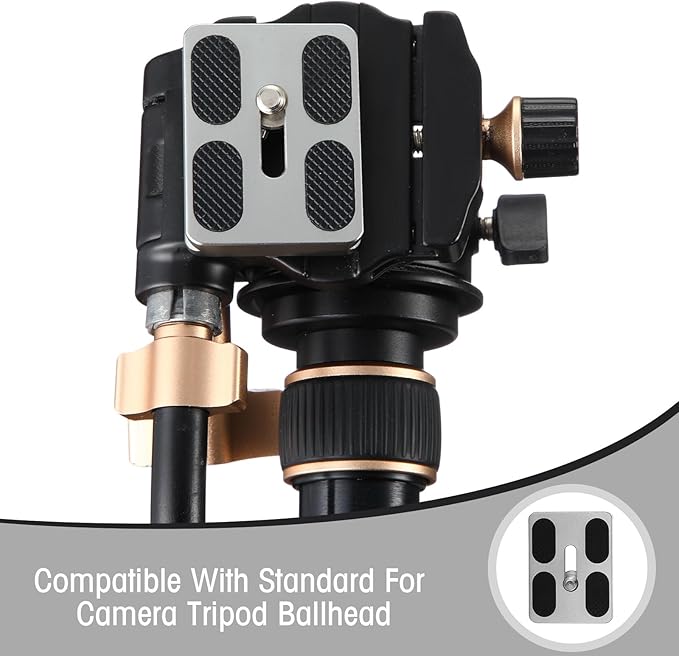 Frienda 2 Pieces Metal Quick Release Plate with 1/4''-20 Camera Screw Tripod Mount Plate Fits Standard for DSLR Camera Tripod Ball Head(Titanium Color,Pu50)