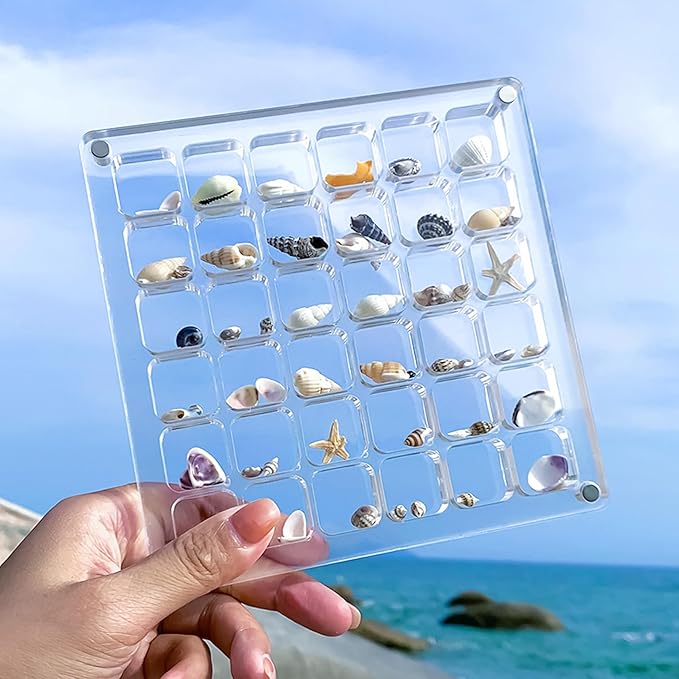 Multi-Style Clear Acrylic Magnetic Seashell Display Collection Box with Tweezers，Tiny Seashell Holder Display Case Collecting Small shells Trinkets Sea Glass Shark Teeth Beach Themed Gifts