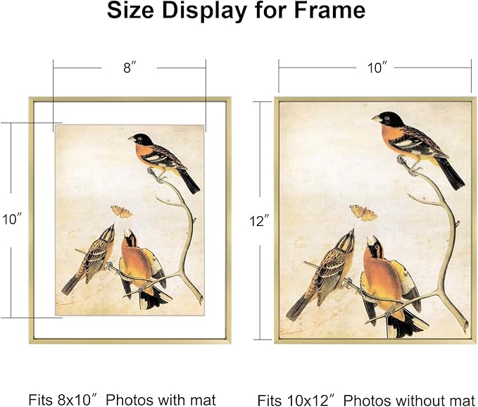BKABOT 10x12 Picture Frame, Brass Aluminum Metal Photo Frames with HD Glass, Fits 8x10 with Mat or 10 x 12 without Mat, Display for Wall, 1 Pack