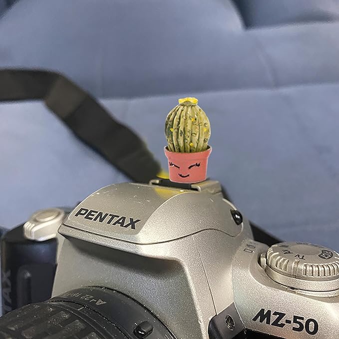 Camera Hot Shoe Cover, Cartoon Plants Cactus Hot Shoe Cap, Hot Shoe Protector Compatible with Sony Fujifilm Fuji Canon Nikon Pentax Leical Panasonic (2pcs Love)