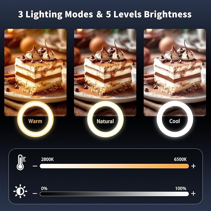 yAyusi 68.5" Overhead Phone Mount with Ring Light for iPhone, 3000mAh 360° Rotation Foldable Rechargeable Ring Light Phone Holder for Video Recording, Live Streaming, Artistic Creation, TikTok,YouTube