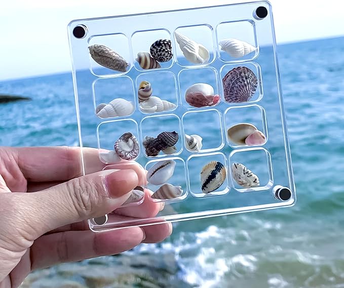 Multi-Style Clear Acrylic Magnetic Seashell Display Collecting Box, Acrylic Shadow Box for Tiny Treasure Hunting Seashell Holder Display Grid Cabinet Case Box,Display Seashell Jewelry Crystal