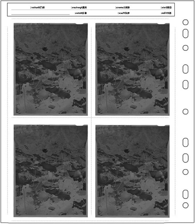 135 45 Negatives Archiving Covers 120 Negativess Film Storage Pages Film Negatives Storage for Organizing Films