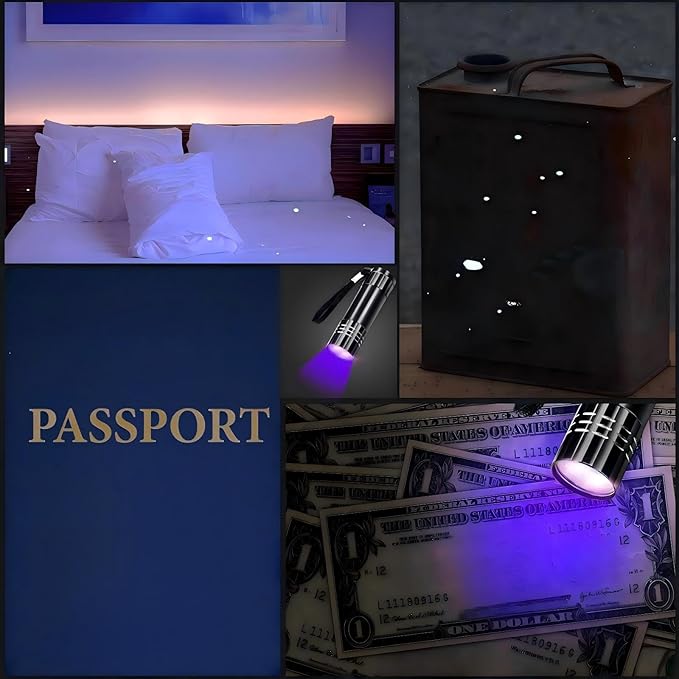 Riakrum 12 Pcs UV Blacklight Flashlights LED Handheld Mini Light Flashlight Small Portable Detector 395nm 9 LED Light for Pet, Carpet Dry Stains Detection, Spot Scorpions, Resin Curing (Black)