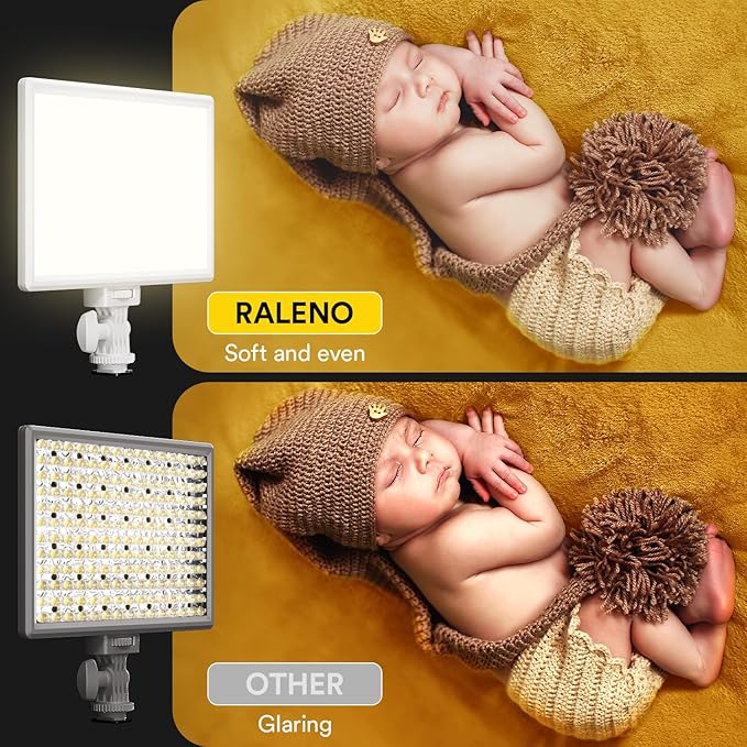 RALENO LED Video Light, White Camera Light for Pictures Video Recording with 4000mAh Battery Support Type-C USB Power Supply, CRI>95 2500K-6500K Photo Lights for Outdoor Photography Live Streaming