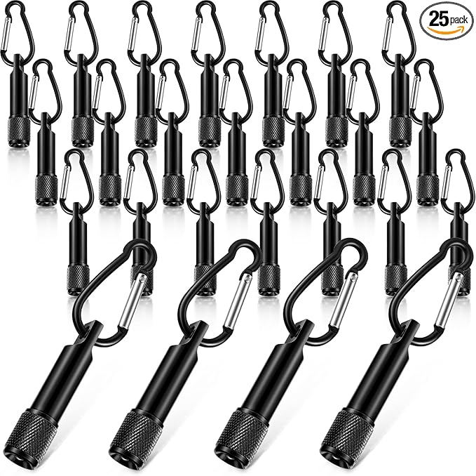 CHENGU 25 Pack Mini Keychain Flashlights Bulk with Carabiner Pocket LED Handheld Flashlight for Summer Outdoor(Black)