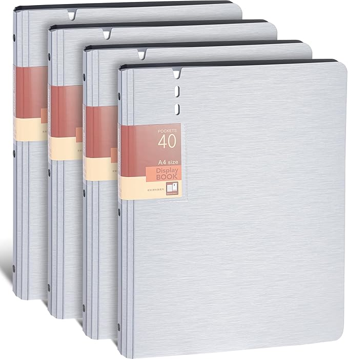 WORPSON Presentation Binder 40-Pocket, Displays 80 Pages, 9x12 inch with Plastic Sleeves, Portfolio Organizer for Documents, Certificates, Artwork, Photos, Clear Sheet Protectors (Silver, 4 Pack)