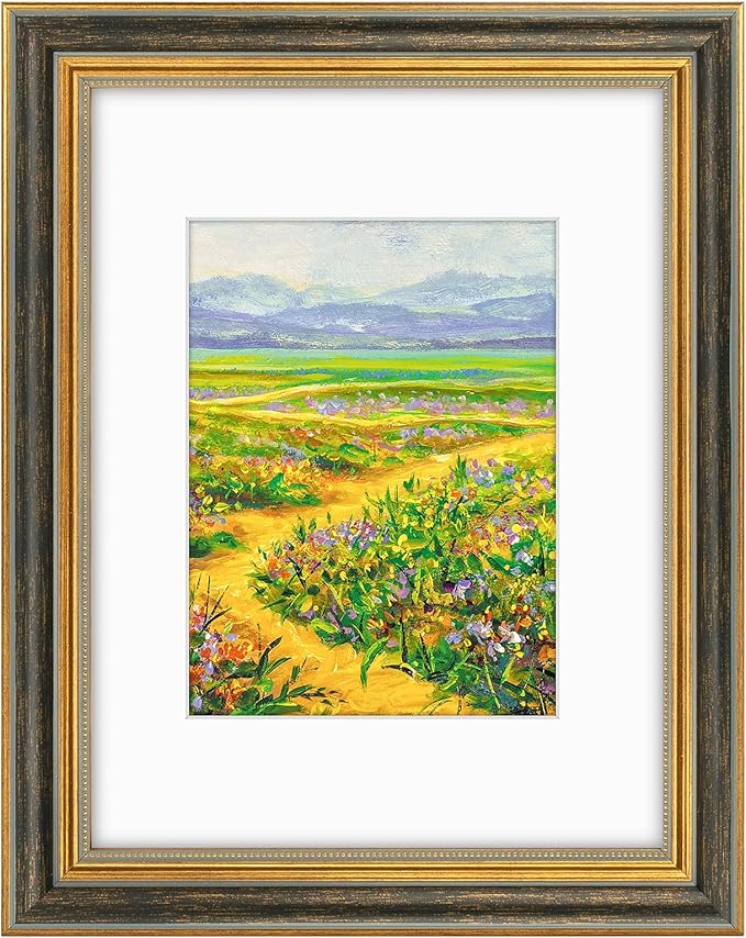 Golden State Art,9x12 Ornate Picture Frame for 6x8 Photo with Mat or 9 x 12 Prints without Mat, Real Glass Wall Display Horizontally or Vertically (Color:Black Gold)