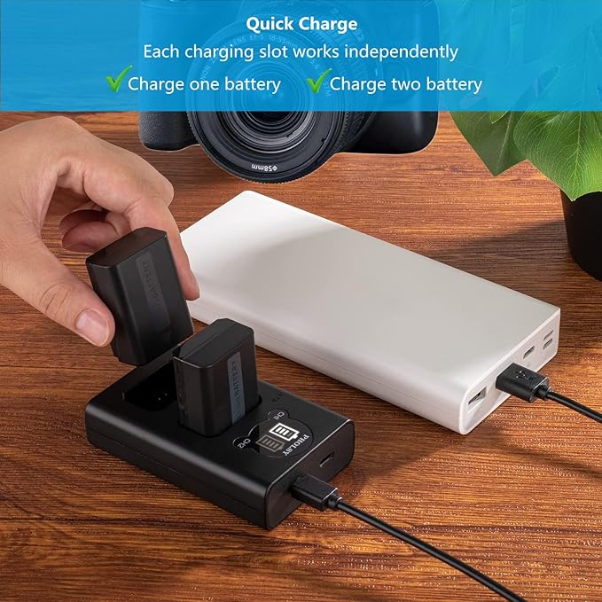 PHOLSY 2-Pack NP-FW50 Batteries NP-FW50 Battery Charger BC-TRW Compatible with Sony ZV-E10 a7SM2 a7RM2 a7M2 a6500 a6400 a6300 a6100 a6000 a5100 a5000 a3500 NEX7 NEX6 NEX5 NEX3 a55 a37 a35 RX10M4 RX10