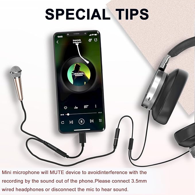 USB C Mini Microphone Karaoke, Portable ASMR Microphone for Android Phone/iPhone 15/Laptop/Mac, Wired Mic for Voice Recording, Singing, Interviews, Vlogs, YouTube, TIK Tok (Rose Gold)