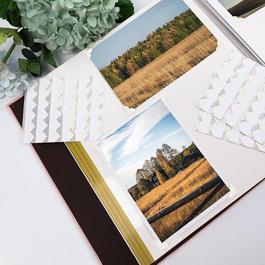 Lineco, Self Adhesive Photo Corners, Archival Quality Acid-Free, 0.5 Inch, Color Ivory (Pack of 252, Set of 1)