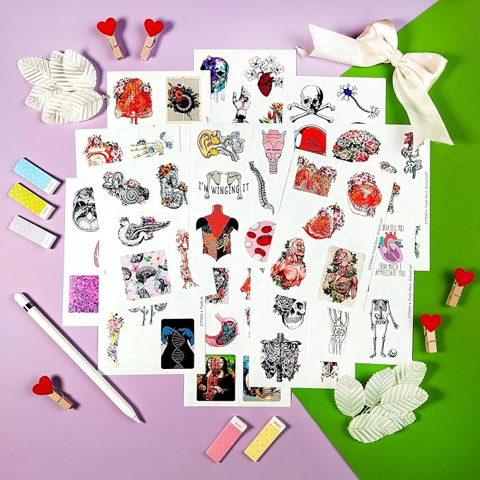 BulbaCraft 100Pcs Anatomy Stickers, Human Anatomy Decals, Body Part Stickers, Gifts for Women & Men