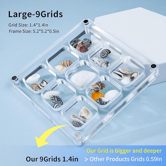 Multi-Style Clear Acrylic Magnetic Seashell Display Collecting Box, Acrylic Shadow Box for Tiny Treasure Hunting, Holder Display Grid Cabinet Case