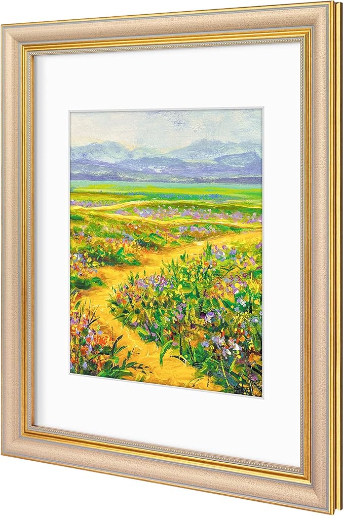 Golden State Art,11x14 Ornate Picture Frame for 8x10 Photo with Mat or 11 x 14 Prints Without Mat, Real Glass Wall Display Horizontally or Vertically (Color:Champagne Gold)
