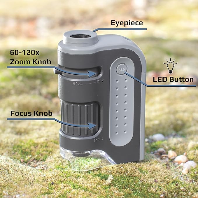 Carson MicroBrite Plus 60x-120x Accurate LED Lighted Pocket Microscope, Portable Educational STEM Toy, Mini Handheld Microscope for Student Science Lab (MM-300)