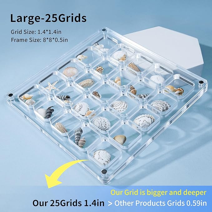 Multi-Style Clear Acrylic Magnetic Seashell Display Case, Shadow Box for Tiny Treasure Hunting, Holder Display Grid Cabinet