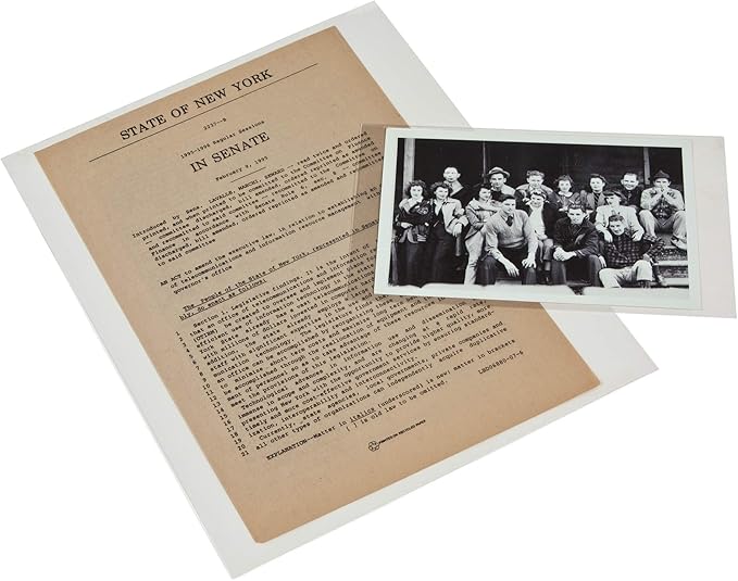 Gaylord Archival 3 mil Archival Polyester L-Sleeves for Photos & Documents (10-Pack) - 5 x 7"