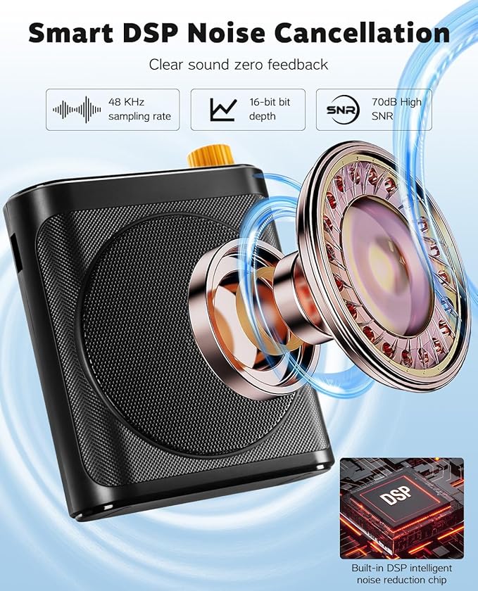 Tearstone Voice Amplifier for Teachers with Wireless Magnetic Lavalier Microphone, Bluetooth Portable Rechargeable Speaker, 2 Mics for Classroom, Meetings, Speeches, Outdoor (Black)