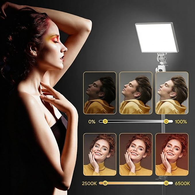 RALENO LED Video Light, White Camera Light for Pictures Video Recording with 4000mAh Battery Support Type-C USB Power Supply, CRI>95 2500K-6500K Photo Lights for Outdoor Photography Live Streaming