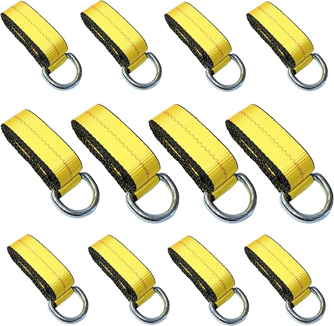 WorldPac (Pack of 12) 2" X 8 Ft Lasso Strap with D Ring Auto Tie Down