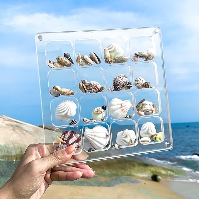 Multi-Style Clear Acrylic Magnetic Shadow Box for Tiny Treasure Hunting, Holder Display Grid Cabinet Case