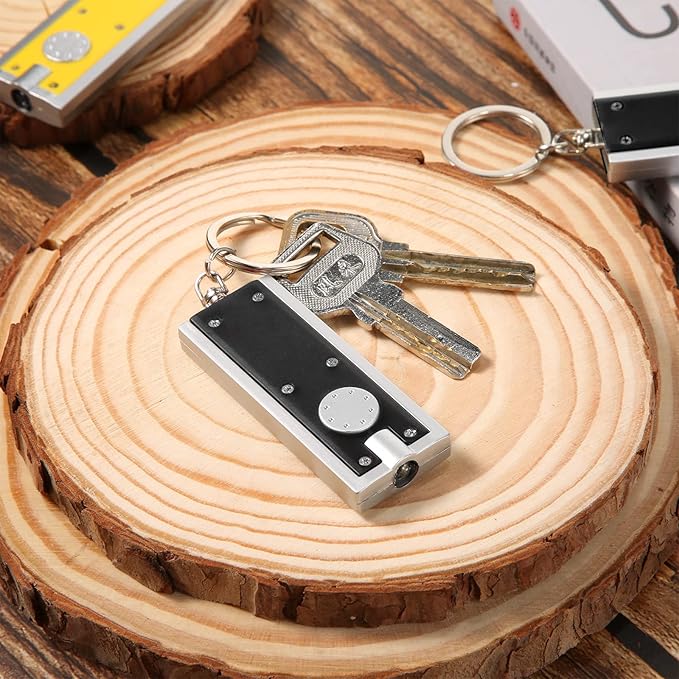Mudder 12 Pcs Mini LED Keychains Light Torch Flashlight Key Ring Portable Key Chain Flash Light for Camping Outdoor Gift (Black)
