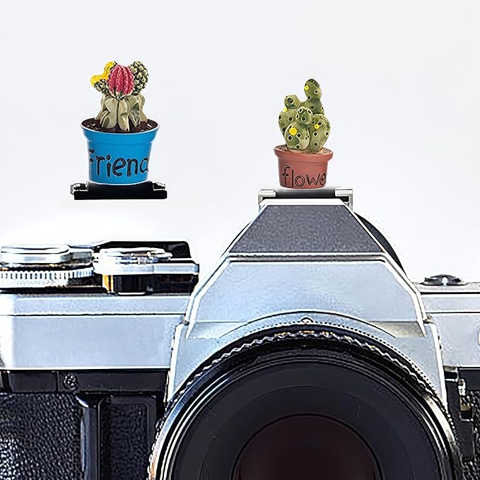 Camera Hot Shoe Cover, Plants Cactus Hot Shoe Cap, Hot Shoe Protector Compatible with Sony Fujifilm Fuji Canon Nikon Pentax Leical Panasonic (2pcs Friend Flower)