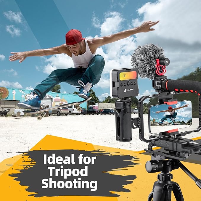 Zeadio Camera Handheld Stabilizer with Aluminum Smartphone Video Cage Rig, Triple Cold-Shoe Handle Grip, Compatible with All Camera Action Camera DSLR Smartphones