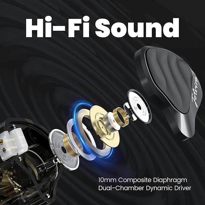 Hybrid in Ear Monitors Headphones with Mic, IEM Earphones 10mm Dual Dynamic Drivers, HiFi Wired Earbuds, Zinc Alloy Faceplate in Ear Monitor with Silver-Plated Detachable Cable for Musician