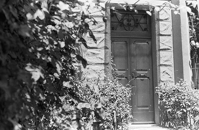 Darkroom Control — Pincary ISO 100 35 mm Film for Home Developing, Black and White 35mm Film with Steady Density, Scan Friendly Negatives, 35mm Camera Workflow, DX 24x36mm, 36EXP - 3Pack ﻿