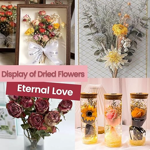 5lbs Silica Gel Flower Drying, Reusable Flower Preservation Kits, Silica Sand Flower Drying Kits with Airtight Container, Gloves, Brush, Safety Goggles for DIY Wedding Bouquet Preservation