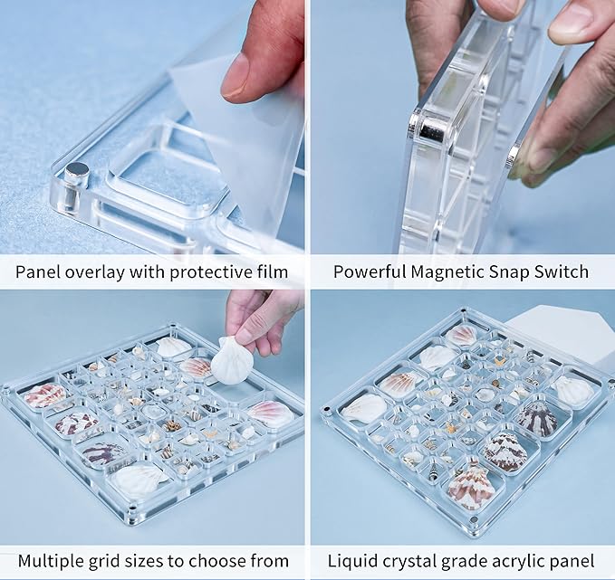 Multi-Style Clear Acrylic Magnetic Seashell Display Collection Box with Tweezers，Tiny Seashell Holder Display Case Collecting Small shells Trinkets Sea Glass Shark Teeth Beach Themed Gifts