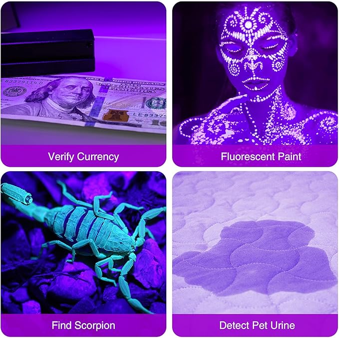 COSOOS 4 Pack Blacklight Flashlights, 395nm UV Handheld Black Light Flashlight, 12LED Mini Portable Pet Urine Detector for Dog Cat Urine, Scorpions, Dry Stains, Bed Bugs(Silver)