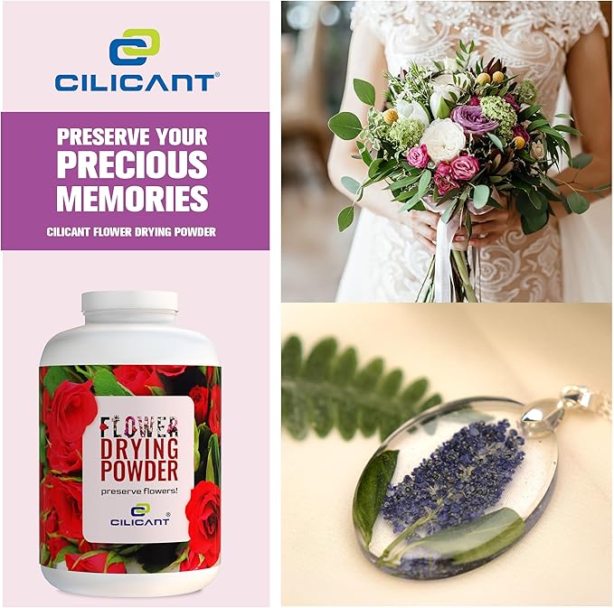 CILICAnT Silica Gel Flower Drying Powder, DIY Dry Flowers, Potpourri, Gel Silica Sand for Drying Flowers, DIY Flower Preservation, Reusable Color Indicating Beads 950ml (Pack of 3)
